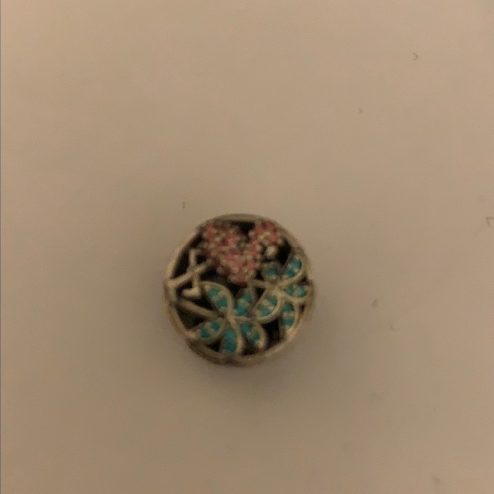 Paradise Pandora Charm